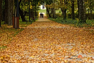 Lubartów