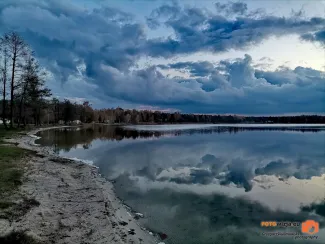 Firlej