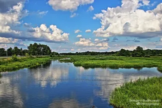 Zalew